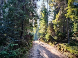 7ad63827-3f8f-4ccd-b302-3be1caffc866