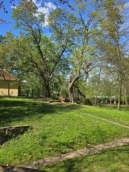 a60c9210-a645-46ec-b0b1-7a87af0e96c2