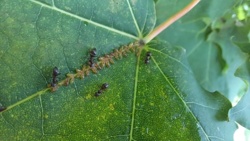 8581c400-a5c8-4377-ac9b-c8ff7d497545