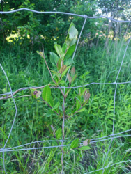 10373f54-0d08-4e24-8c46-70cf7c788f8c