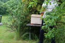 faecb9ca-587c-40c0-b904-d8ade2850f3d