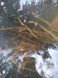 e25c3c02-561e-4fd1-b829-a58969b37b47