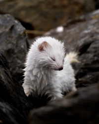 9ff75b7c-e883-44c6-ae81-4a9220d0ff3c