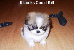 347d4a0b-56f0-4ae5-852a-7057ea1e4d07