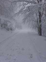 2e93f651-1681-4283-8c1d-52f69f46f543