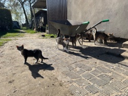 ea173a13-8bfd-47b2-aa8a-925478cf5a74