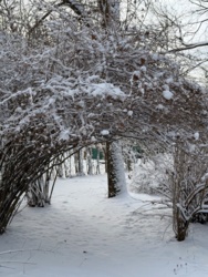 99743653-7710-4c14-a4eb-1759aeb29b8d