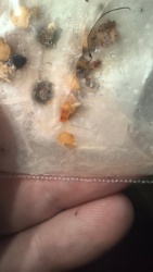 2f9950bf-4b2e-4d01-a524-22aecca7cc6e