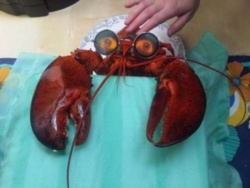 0e1b5a23-ab7f-44bf-a9f0-cdc5b7f6d147