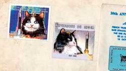 e2abec99-6958-457c-9fc1-5157083bd60e