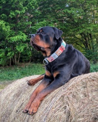 122bf875-f0df-4768-a16d-126a2a90c3fd