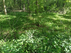 48951e59-c891-41e5-8afd-c8c7b0cc0f16