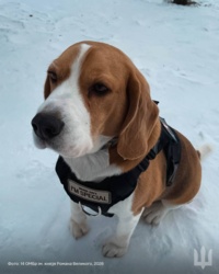 f524e3eb-1ae9-4f68-8419-db93a6cd9d97