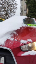 f81d9d44-6805-45d3-b780-af020322fd5f