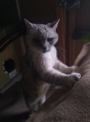 3441a5c2-9be4-47b0-a99d-739eeceb9965