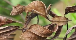 6e09cc36-743d-49a5-a182-146bac8b8c55