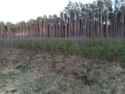 0cc41e6d-f7bb-4e5a-937f-bb62f0b7e468