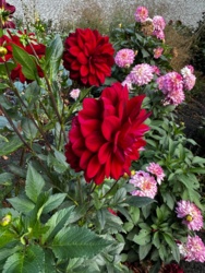 df1d988e-ca54-4e3c-8860-85fd4a573e9c