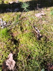 a45bb9c0-250d-49c0-99cf-fa372ad812f2