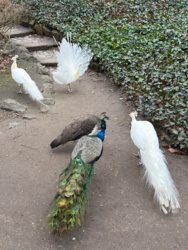 eb4da7b2-9ace-4dc7-954d-64cf9d80a852