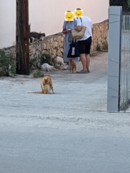 fa11608e-3b48-4aac-8cfc-ab5318427e7c