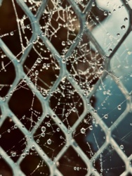 51deb4ac-efcb-4659-b6da-3ffd6544f239