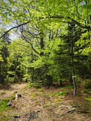 7063fde6-eaaa-41dc-ab4a-db005f62ea38