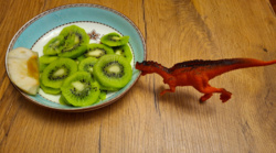 5fffea96-1532-4ee7-a228-1a582406a2a6