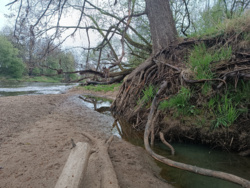 56eba223-6f6d-4f8a-9da1-94250c82d2e1