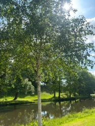 daf2be55-b4ef-46ae-8c90-8ca96b486869