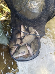 6f28d105-56cc-4d30-a51c-4b1ea3fc6bda