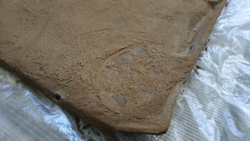 5482df1c-d67c-48f0-b5b4-f33681fe63c8