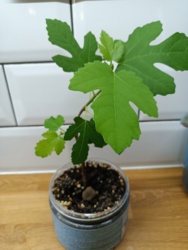 58e99cb6-82e5-4f4a-842a-22591407d3d9