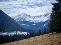 67f9dc87-4ff9-44a4-b195-29c18c566566