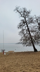 011c45f1-5797-4768-b499-66e95b520b0a