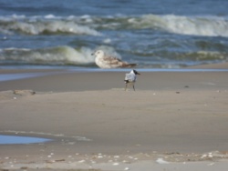 fc4d33c6-98e6-4595-b660-e00ae08766b7