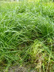 0beb9dd2-ebe2-4cc4-86b2-b10068c6f2d7