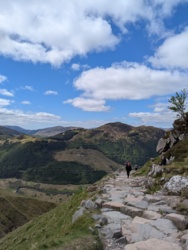 a1f65372-3ac8-4930-8c49-adab50c6f613