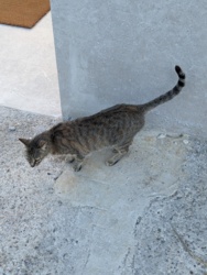 3b6bdd97-ada2-4561-a114-48aa4fe5462f