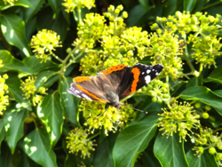 78dd62a4-d9a8-47a3-8195-843c94b31e24