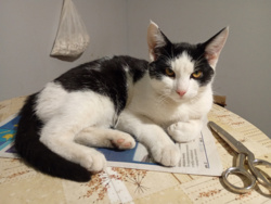 5d5cc090-e9ee-4cdf-8696-f1358edb2a5c