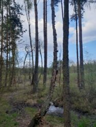 602cfaa8-20c3-4067-8987-711eb58de438