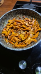 71513075-44da-41bc-ae4f-ff117ad2f98b