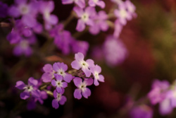 105005c1-08f3-4dcc-9a57-33ad590a67c3