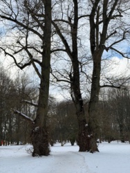 f3c82e54-70f9-476f-915b-5262f91f48f0