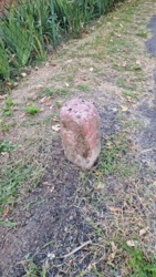 6fecb3f1-7830-47a1-8ffc-e46a58c265a8