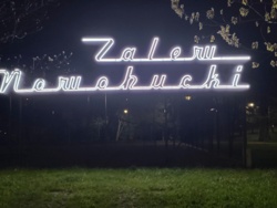 f3cc5890-5e97-4f70-9cae-27b2c1e96b21