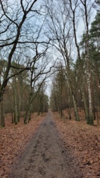 9276767e-65f6-4d1a-acc7-77deb9dc2a1e