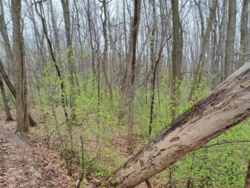 cb75f672-978d-4d74-85e6-a224af331367