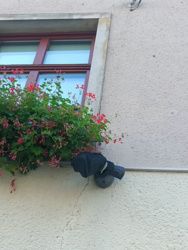 0958e9d3-375c-439b-92a0-6637cb3f6695